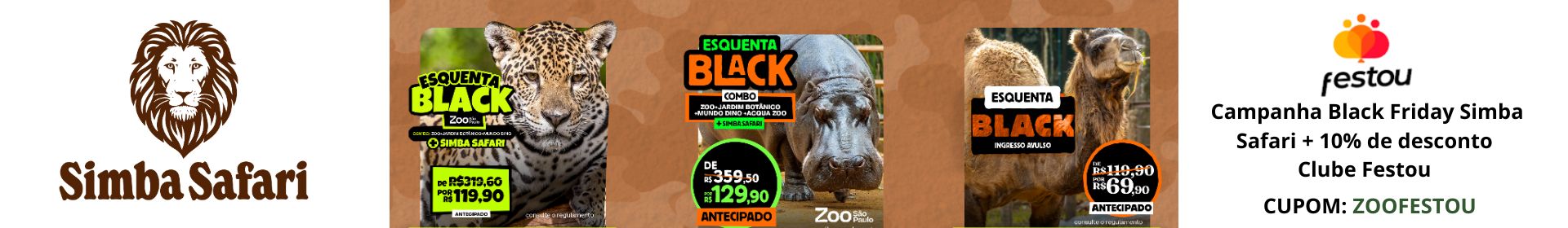 Black Friday Simba Safari