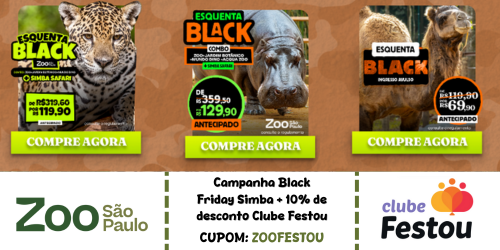 Black Friday Simba Safari